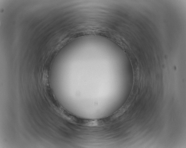 X0000080770083200612151010