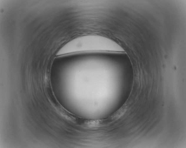 X0000080770084200612151010