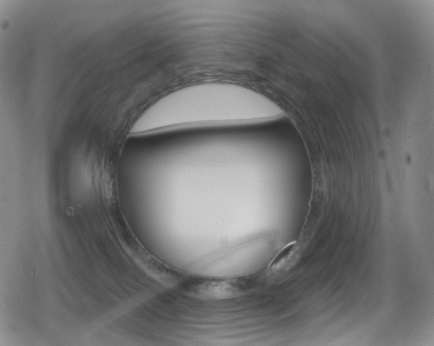 X0000080770086200612151010