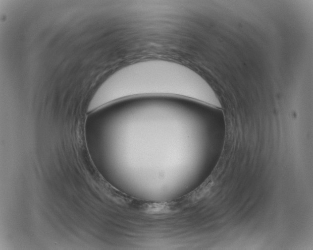 X0000080770088200612151010