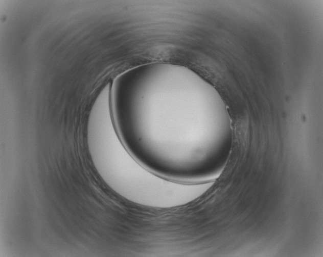 X0000080770092200612151010