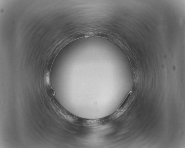 X0000080770095200612151010