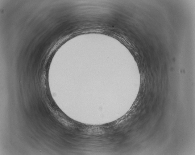 X0000080770146200612151007