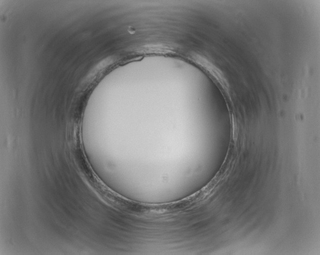 X0000080770157200612151008