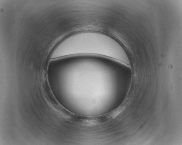 X0000080770164200612151008