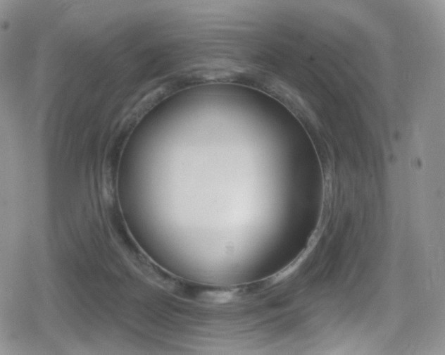 X0000080770170200612151008