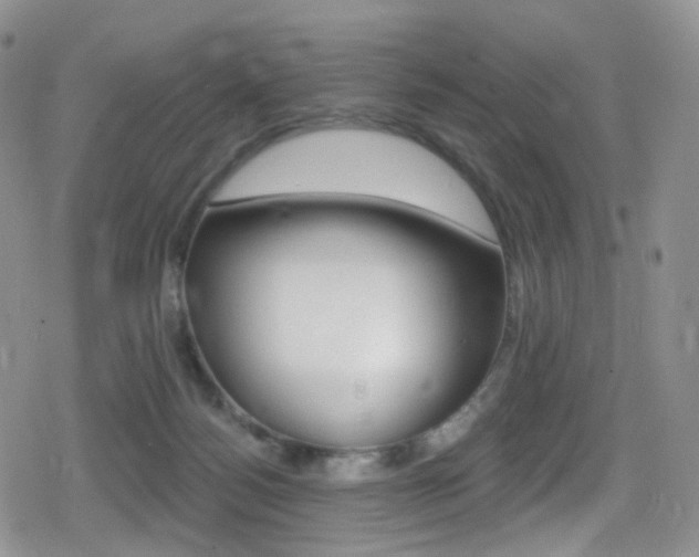 X0000080770172200612151008
