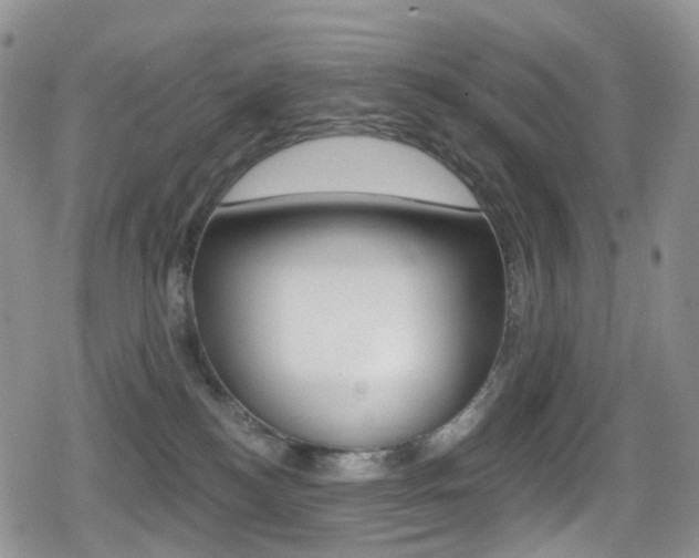 X0000080770184200612151008