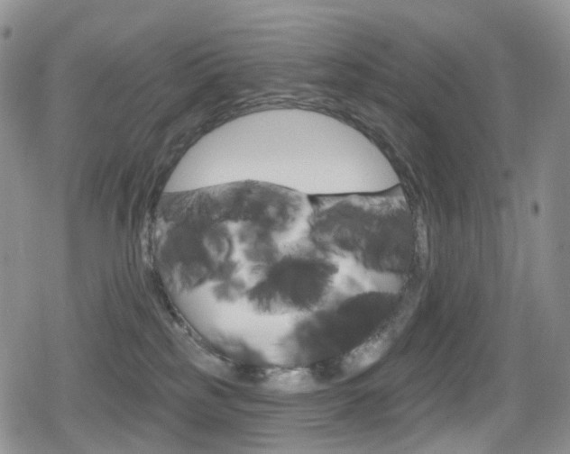 X0000080770185200612151008