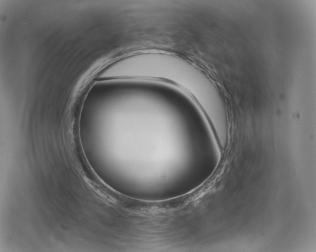 X0000080770197200612151007