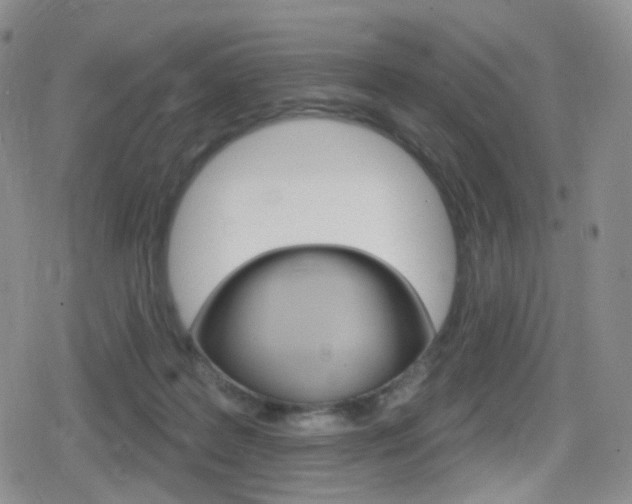 X0000080770219200612151007