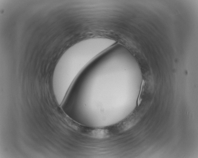X0000080770225200612151007