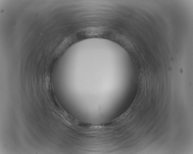 X0000080770227200612151007