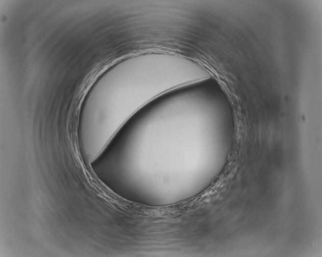 X0000080770241200612151006