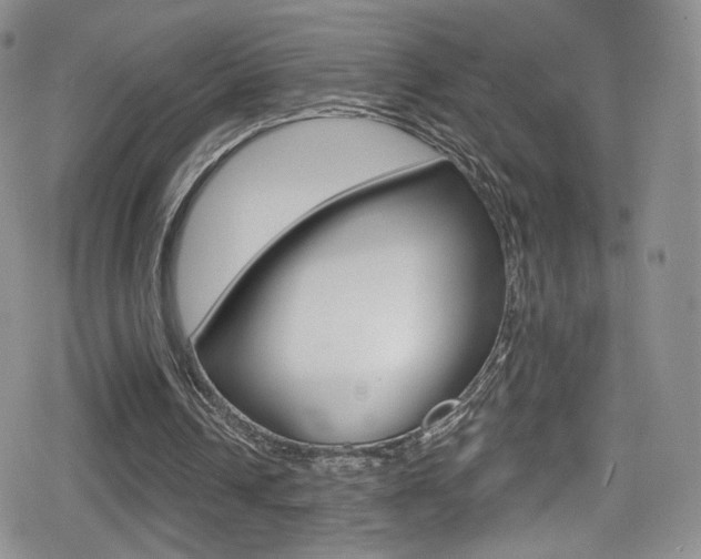 X0000080770242200612151006