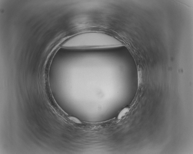 X0000080770243200612151006