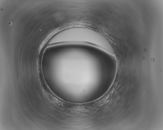 X0000080770244200612151006