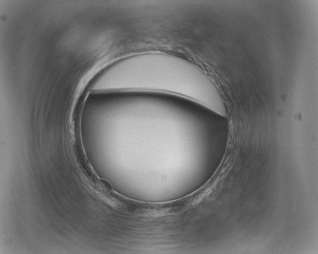 X0000080770246200612151006