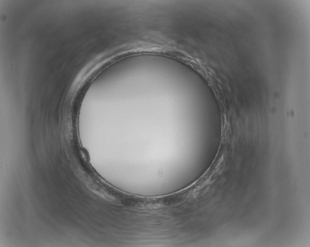 X0000080770247200612151006
