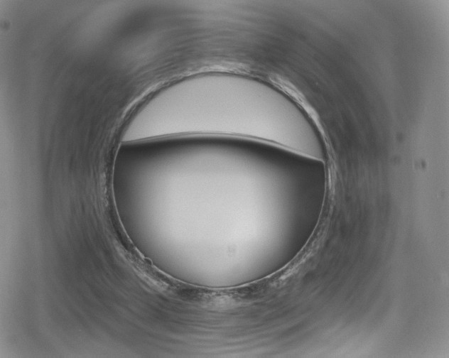 X0000080770249200612151006