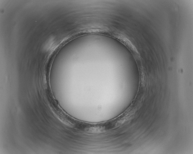 X0000080770251200612151006