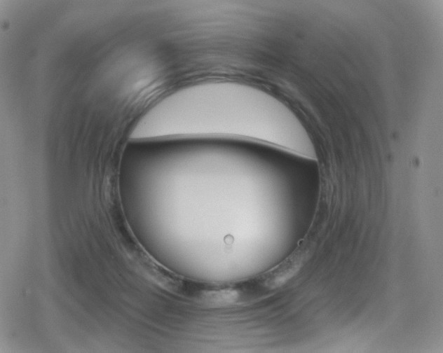 X0000080770266200612151006