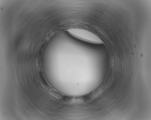 X0000080770270200612151006