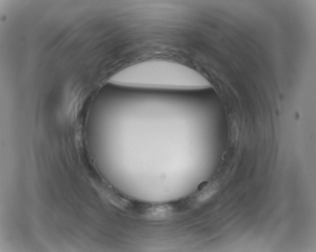 X0000080770274200612151006