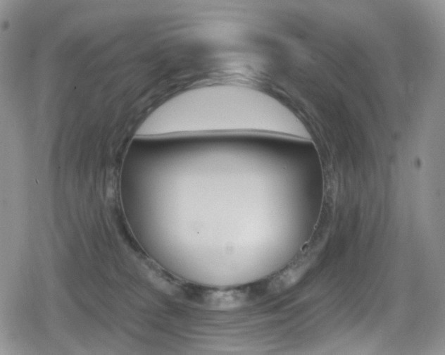 X0000080770277200612151006
