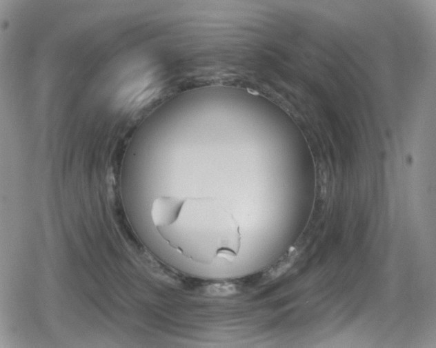 X0000080770279200612151006