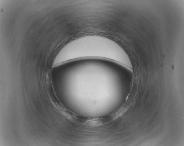 X0000080770280200612151006