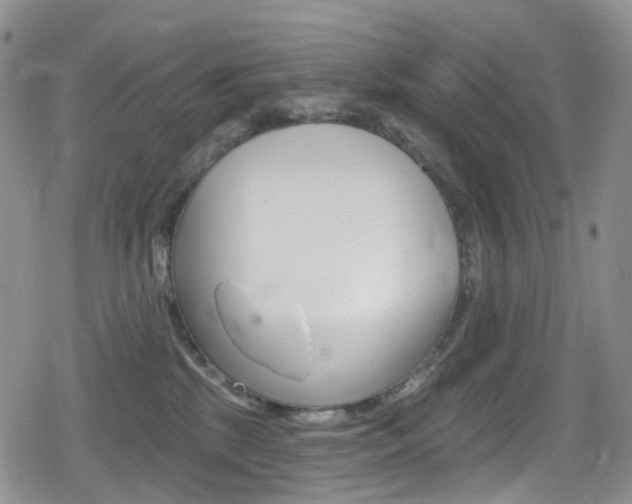 X0000080770281200612151006