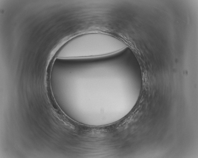X0000080770292200612151006