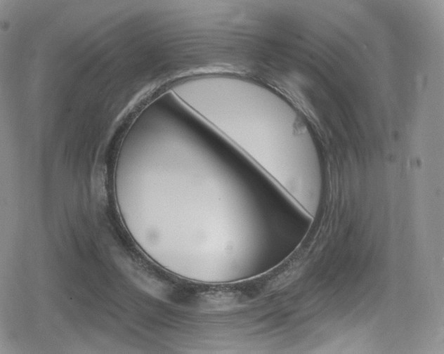 X0000080770300200612151006