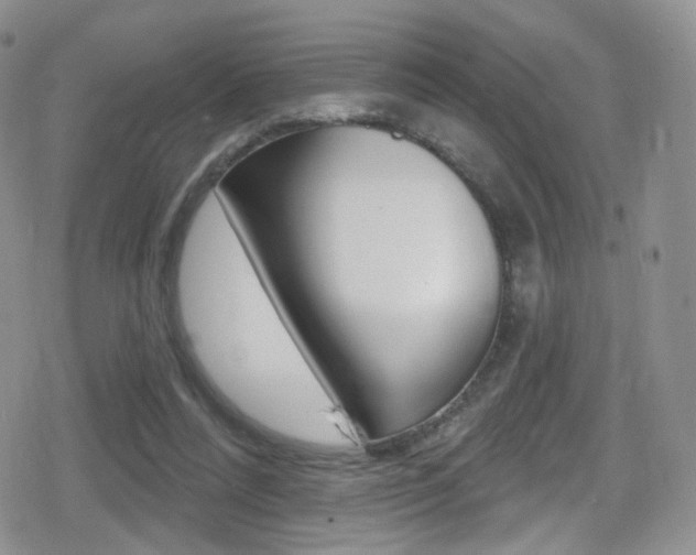 X0000080770304200612151006