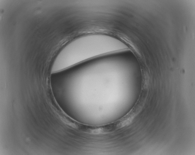 X0000080770309200612151005