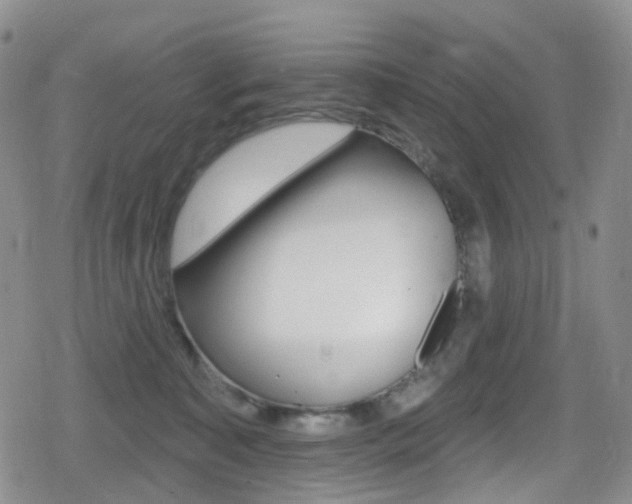 X0000080770323200612151005