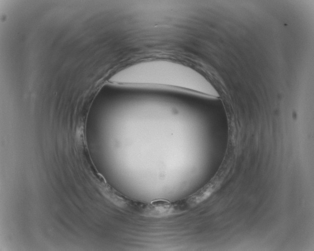 X0000080770329200612151005