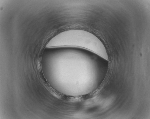 X0000080770335200612151005