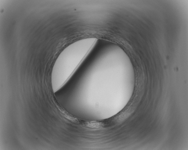 X0000080770336200612151005