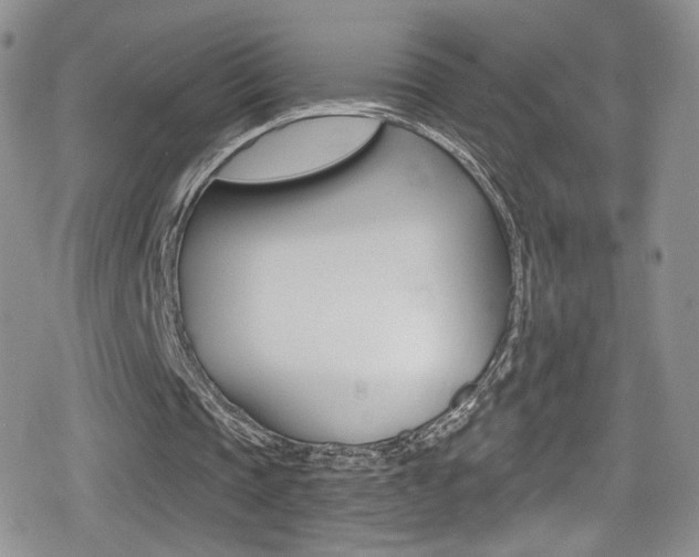 X0000080770337200612151004