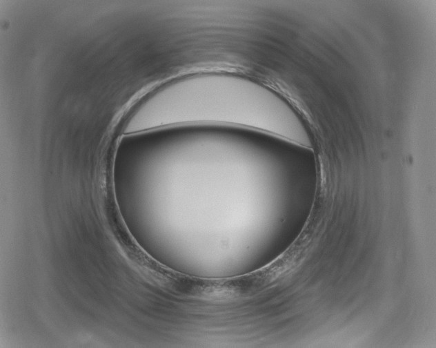 X0000080770348200612151004