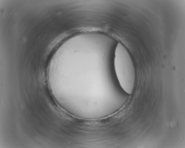 X0000080770351200612151004