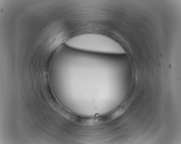 X0000080770366200612151005