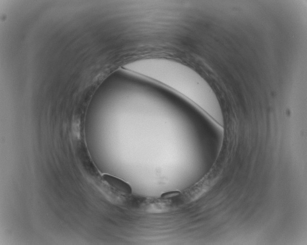 X0000080770368200612151005