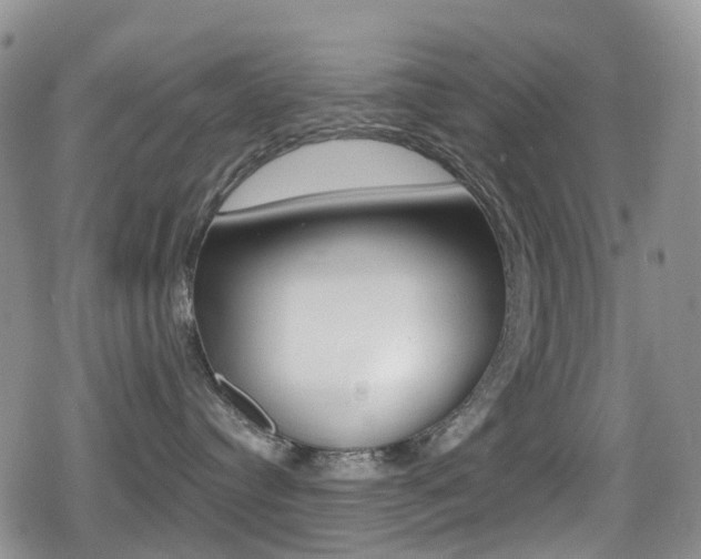 X0000080770384200612151005