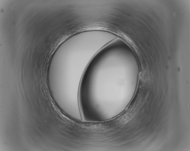 X0000080770385200612151004
