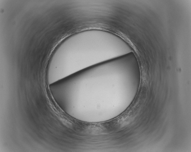 X0000080770386200612151004