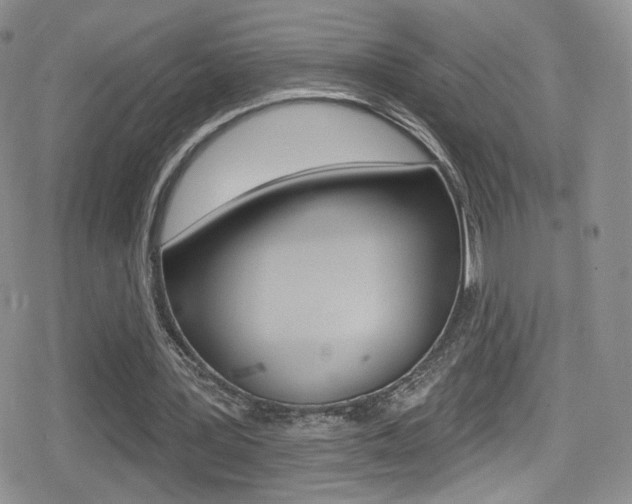 X0000080770387200612151004