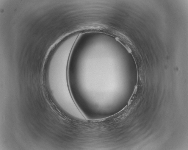 X0000080770388200612151004